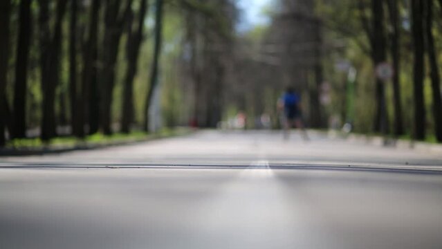 Back of man on roller skates with ski poles in summer park.