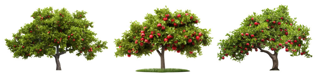 Set of orchard trees with ripe red apples, cut out
