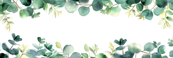 Delicate border design of green and eucalyptus leaves in watercolor style, creates a serene and natural ambiance, isolated on transparent or white background