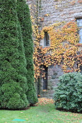 Naklejka premium The Imperial Castle in Poznań from the garden side in autumn