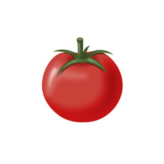 tomato illustration isolated on white background