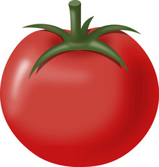 tomato vector isolated on white background