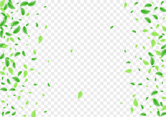 Light Green Sheet Background Transparent Vector. Vegetation Light Frame. Woods Texture. Greenish Spring Illustration. Greenery Icon.