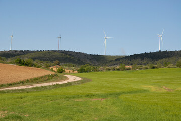 Fototapeta premium Agricultural landscape with aerogenerators on the horizon, near Puerto Lapice, Ciudad Real Province, Castilla-La Mancha, Spain