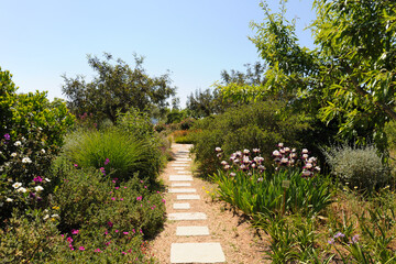 Obraz premium Beautiful landscape Mediterranean garden in springtime