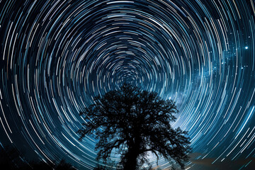 Timelapse photography showing the movement of stars. Nature silhouette.