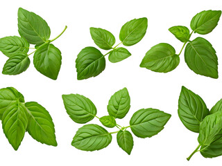 green leaves isolated png generative AI