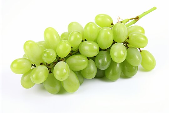 Fresh green grape isolated on white background   high quality detailed image for advertising