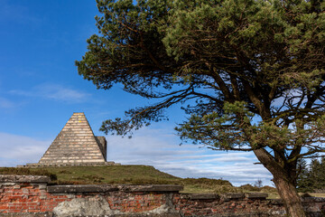 Pine tree and Pyramid of the Italians in the background. Port of Shield, Burgos, Spain.