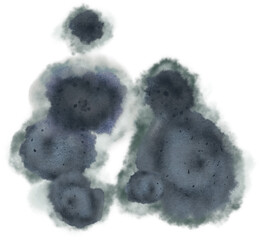 Mold illustration Png clipart with transparent background Dark fungus damage for health 