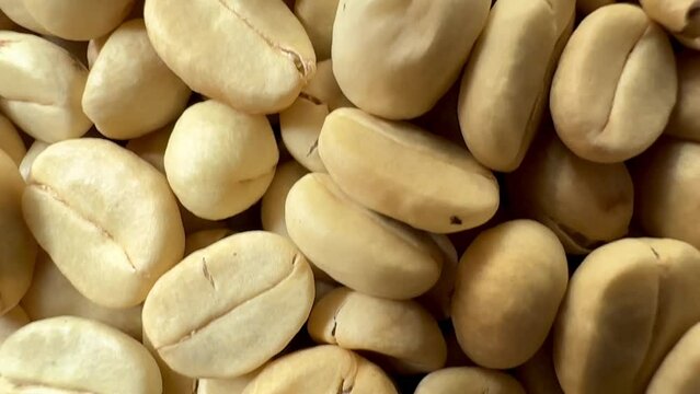 (Coffee substance) Thai Arabica and Robusta  fully washed process for home roasting green coffee bean