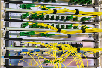 Fiber Optical cables connected to an optic ports and Network cables connected to ethernet ports, network  technology concept