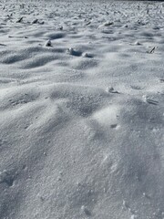 footprints in snow