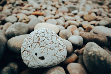 Sea stones, gray pebbles on sea, ocean coast. Stone with erosion changes on surface from exposure of salt water. Natural background. Rocks on a shore.