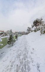 BAKU, AZERBAIJAN - JANUARY 31 2024: A park covered with snow in Baku in January