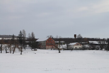 A snowy field with buildings and trees