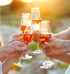Group of friends toasting champagne sparkling wine