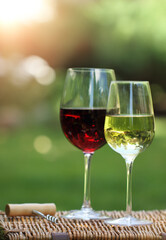 Two glasses of the white and red  wine