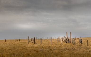 Obraz premium Fence line stretches across the plains Vulcan County Alberta Canada