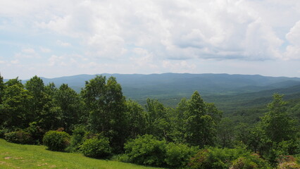 山
