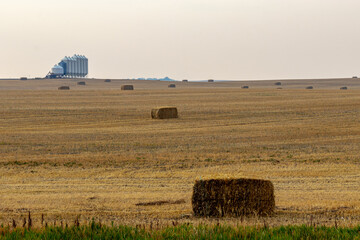 Special Area 2, Alberta, Canada