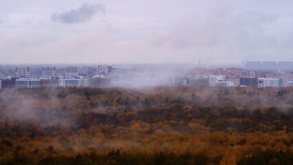 Fototapeta premium Panoramic view of a foggy autumn morning in the city