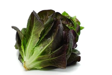 cabbage isolated on white background