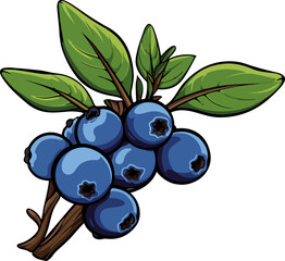 Blueberries clipart design illustration