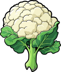 Cauliflower clipart design illustration