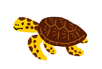 ウミガメの手描きイラスト