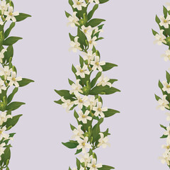 Obraz premium beautiful white flower arrangement seamless pattern