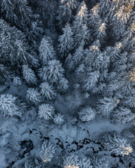 Aerial view of a mountain and tree in winter with snow