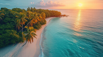 Aerial view of palms on the sandy beach of Indian Ocean at sunset. Summer in Zanzibar, Africa. 