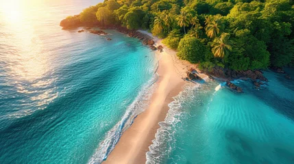 Tuinposter Aerial view of palms on the sandy beach of Indian Ocean at sunset. Summer in Zanzibar, Africa.  © STORYTELLER AI