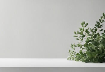Light minimal geometric background with pedestal Mockup for natural product presentation Branches of