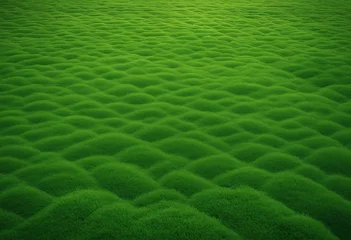 Schilderijen op glas Wide format background image of green carpet of neatly trimmed grass Beautiful grass texture on brig © ArtisticLens