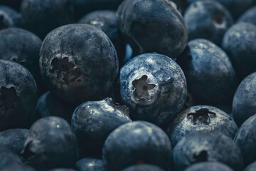 blueberries in a bowl