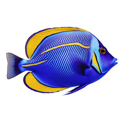 Multicolored aquarium fish on a transparent background, side view. The Blue Tang, an yellow and blue saltwater aquarium fish, isolated on a white background, a design element for insertion