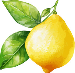 Watercolor lemon clipart design illustration