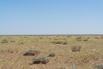 Obraz premium gobi desert 