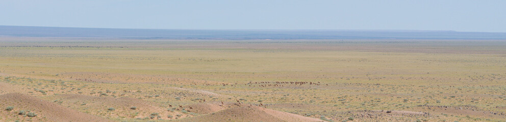 gobi desert
