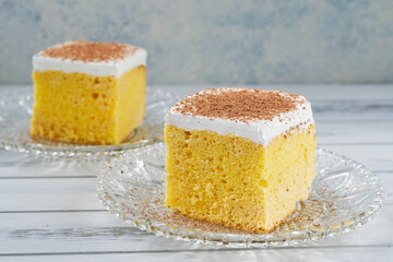 メキシコのスイーツ パステル・デ・トレス・レチェス(3種のミルクのケーキ）　コピースペースあり
Mexican sweets Pastel de Tres Leches(  Mexican Tres Leches Cake,Tres Leches Cake,Three Milk Cake)  with copy space