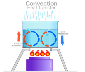 Convection, heat transfer currents, labeled diagram. Mass movement of water. Warm, cool molecules energy movement. Cycle stove fire, hot water liquid in transparent pot. Vector illustration  - obrazy, fototapety, plakaty