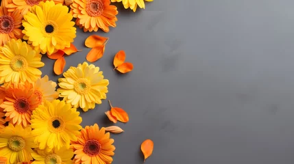 Foto op Plexiglas Creative composition of beautiful yellow and orange gerbera flowers with petals on gray background. Autumn concept. Flat lay. Banner format. © Ziyan Yang