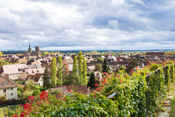 Fototapeta premium Scenic view from Chateau d'Isenbourg and Spa at picturesque village Rouffach Haut-Rhin department in Grand Est in north-eastern France