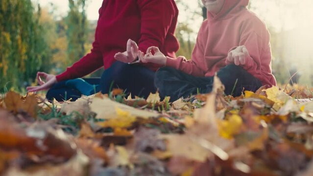 The family is doing yoga together on the mats in the autumn park. Active lifestyle meditation on nature for parents and children. High quality 4k footage