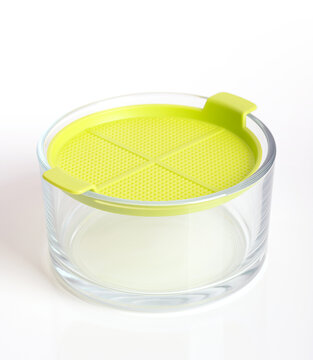 Germination bowl with yellow-green sieve. Sprouting dish for sprouting seeds, and for growing shoots on the windowsill. Easy sprouting without soil and on pure water basis. Close-up, side view. Photo.