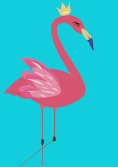Flamingo