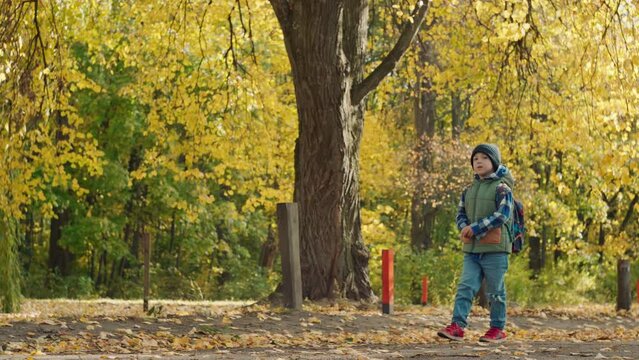 School Days Serenity: Backpack-Wearing Child in the Fall Season. High quality 4k footage
