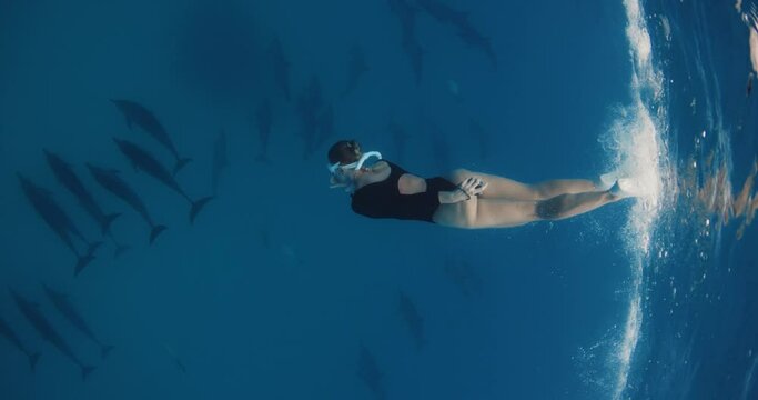 Professional woman freediver in fins dives into the depths for dolphins pod. Swimming with dolphins in blue ocean